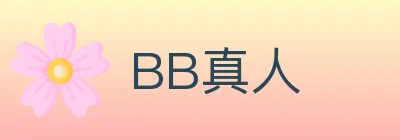 BB真人 logo